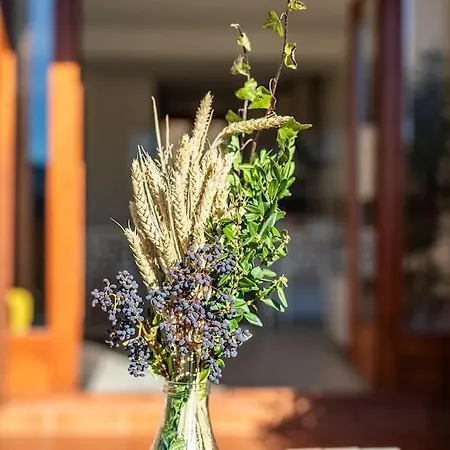 Casa Nieves 比利亚努亚