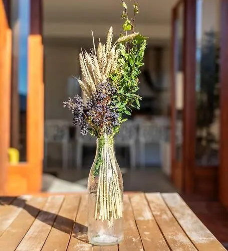 Lägenhet Casa Nieves