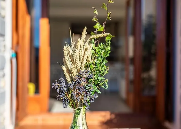 Casa Nieves Villanúa